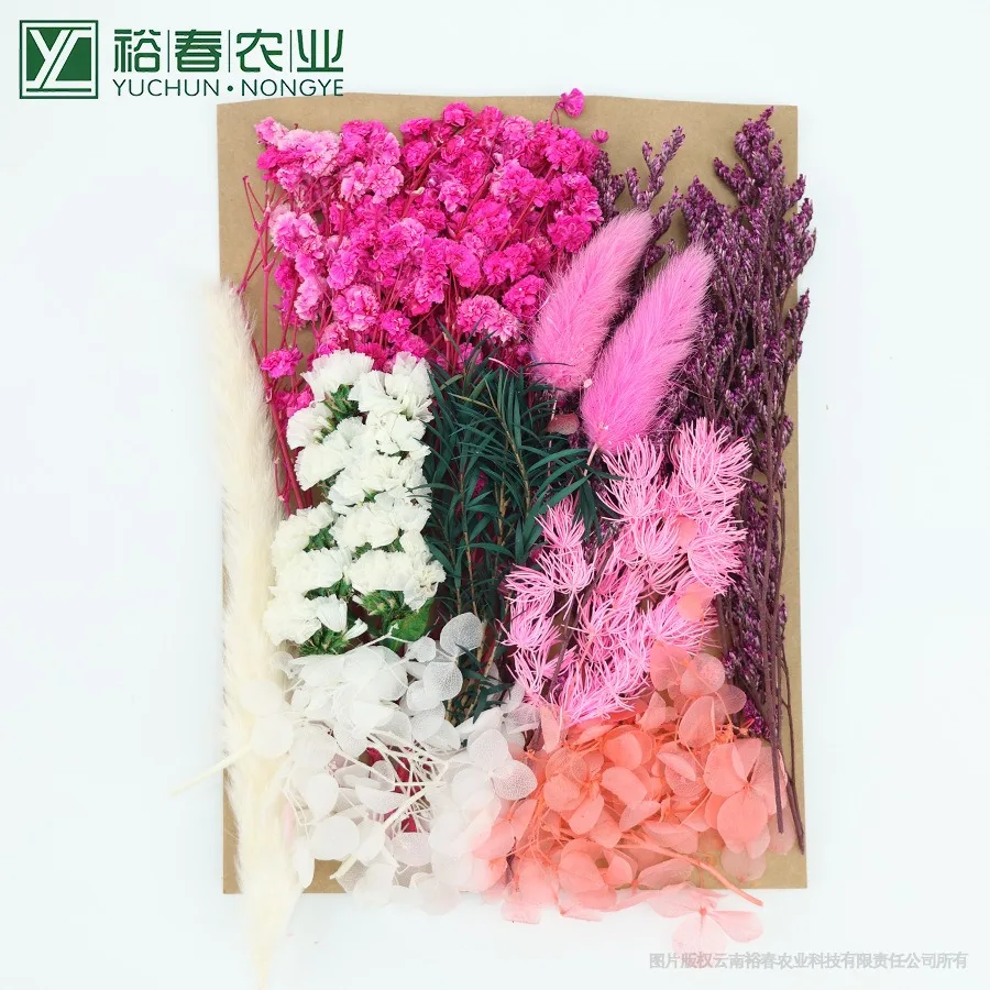 

Сушеные цветы гортензии для свечей