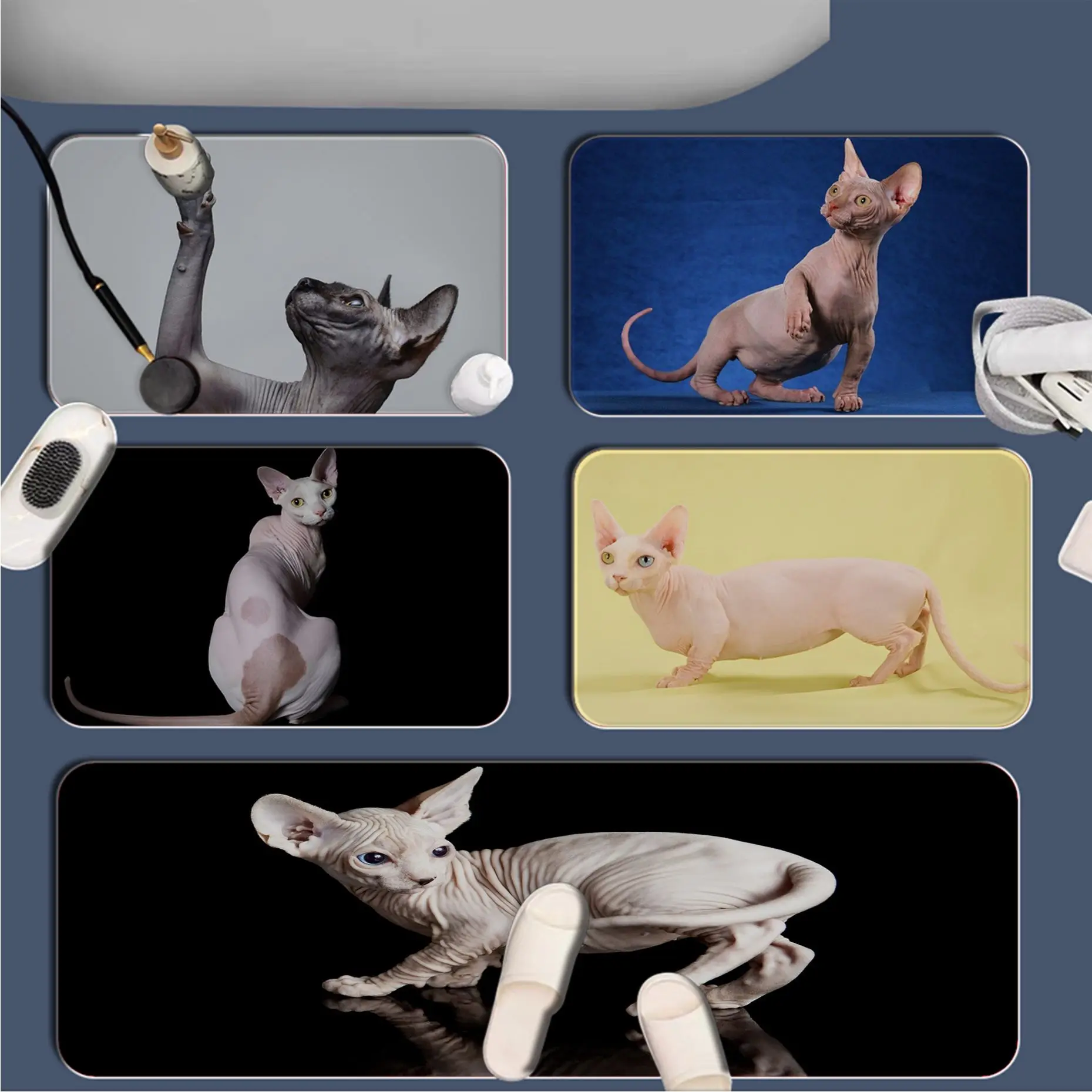 

Hairless Cat Floor Carpet Nordic Style Home Doormat Bathroom-Toilet Mats Bedroom Alfombra