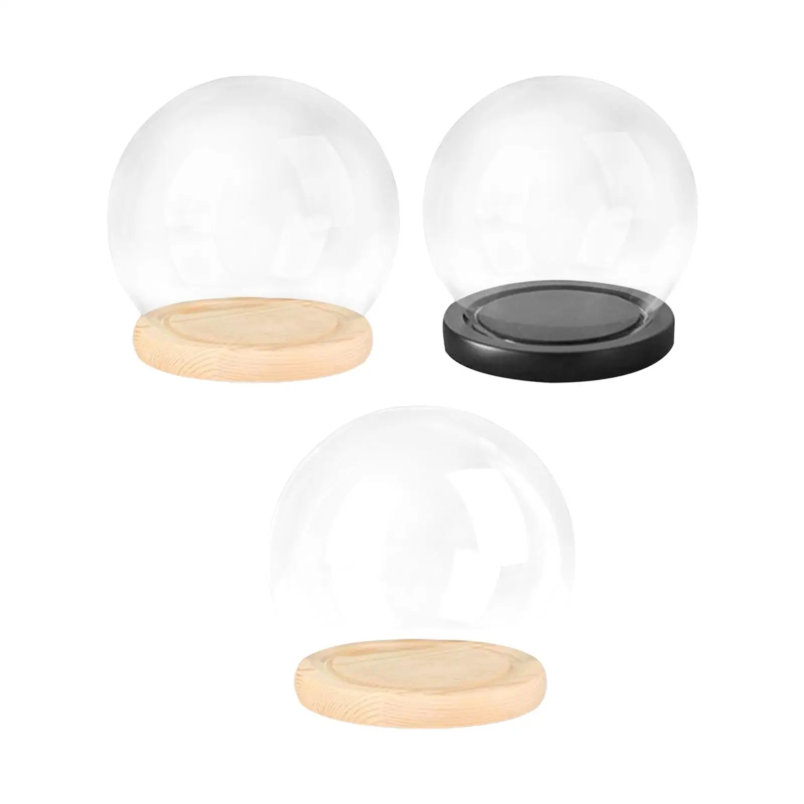 

Стеклянный купол-витрина homyl