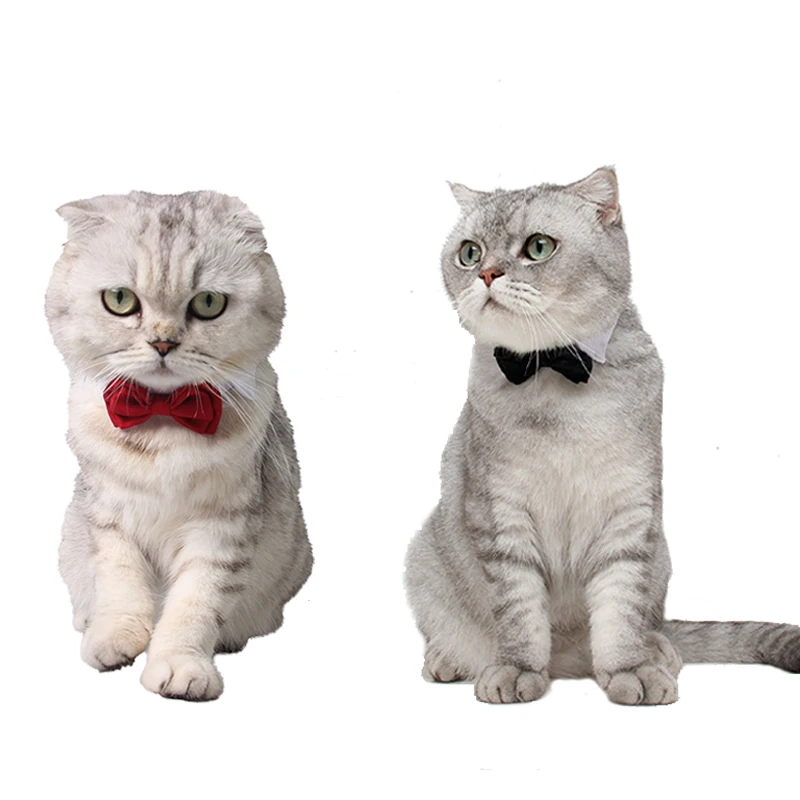 

Красный галстук-бабочка для питомца кота джентльмена 2 шт. 4 шт.