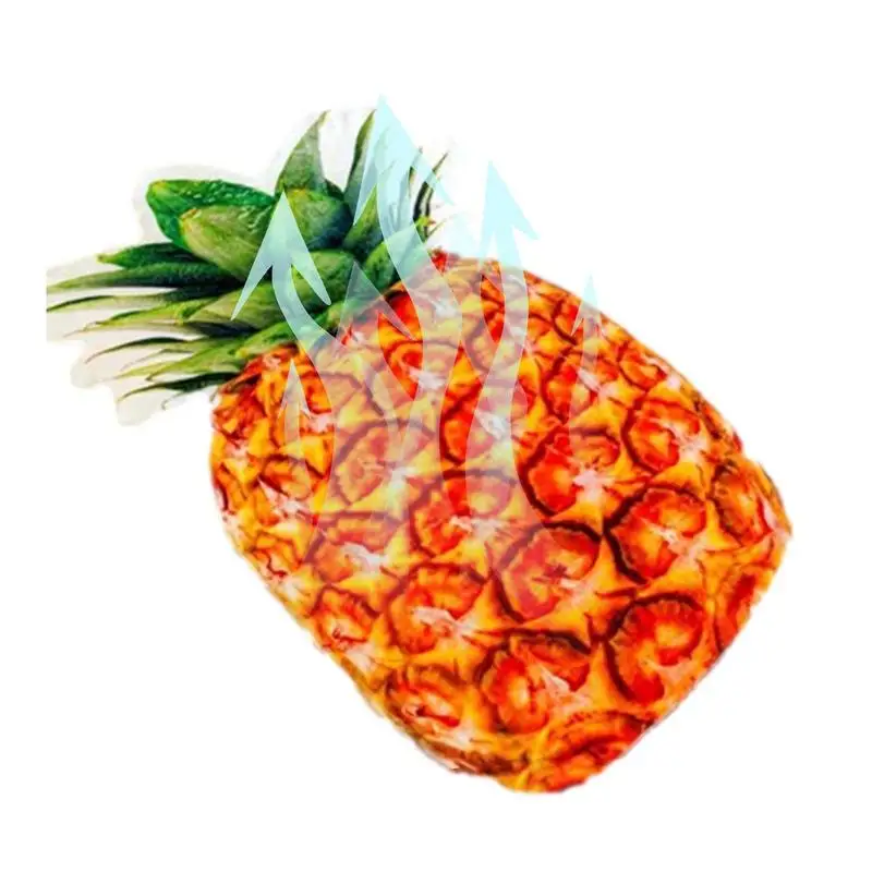 

Fruit Blanket For Kids Fruit Shaped Shawl Blanket Lunch Break Quilt Lightweight And Breathable Vegetable Shaped Quilt Flannel