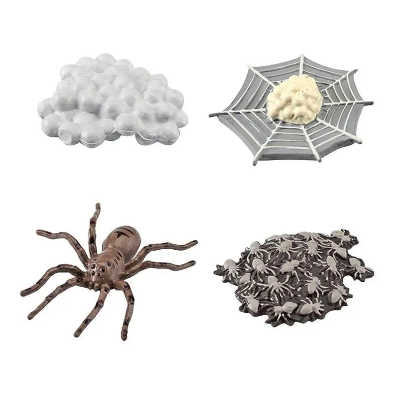 

Цикл роста животных, модель создания, цикл роста, набор моделей для детей, образование, сувениры для вечеринок