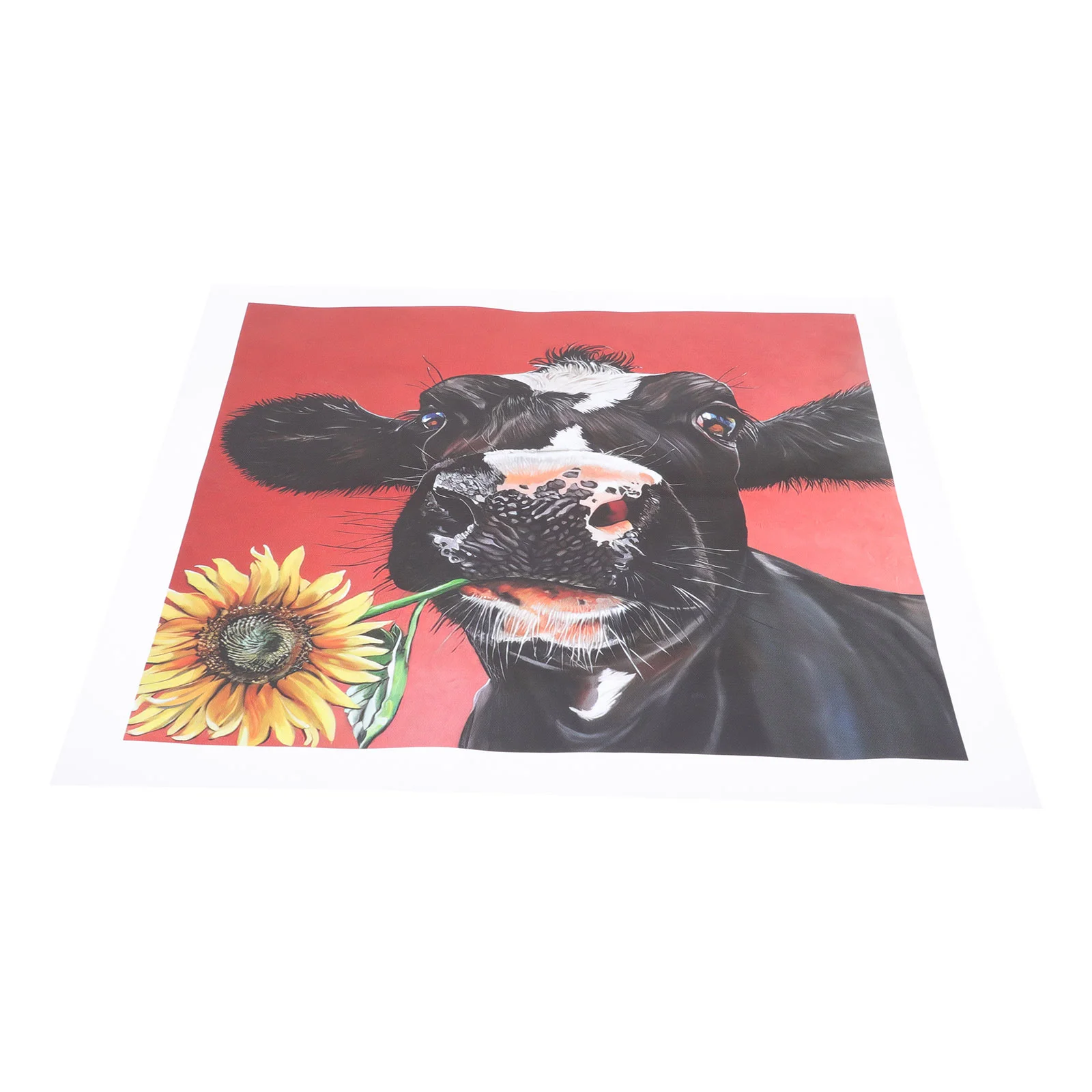 

1pc Background Painting Photography Backdrop Creative Painting for Home Shop Gift