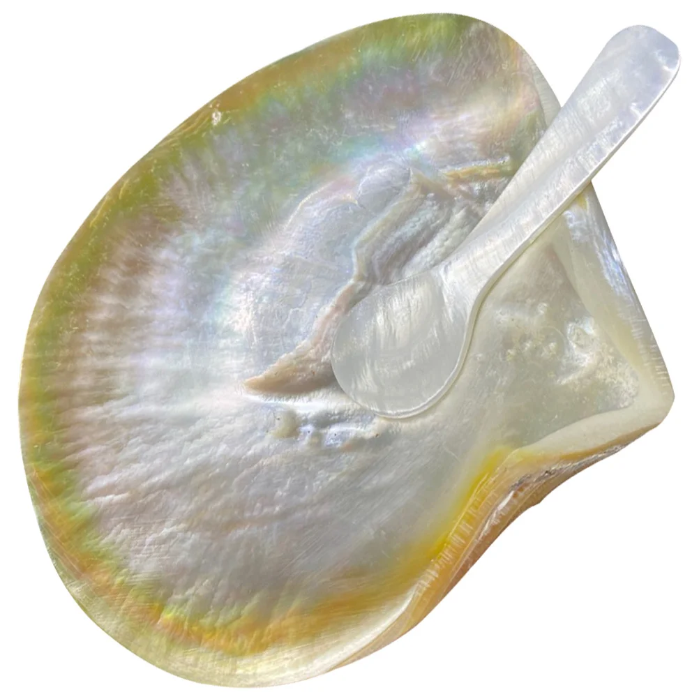 

Plate Dishes Plates Shell Appetizer Sushi Bowls Dipping Dessert Serving Tray Snack Seasoning Condiment Platters Salad Scallop