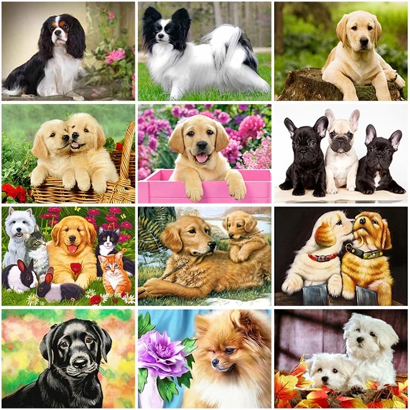 

Алмазная 5D картина «сделай сам», полноразмерная/круглая вышивка из смолы с изображением собаки, стразы, мозаика для домашнего декора