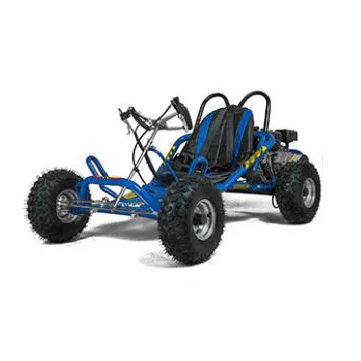 

270CC 9HP Gas buggy outside racing go kart 4 wheels buggy for adult sale directly