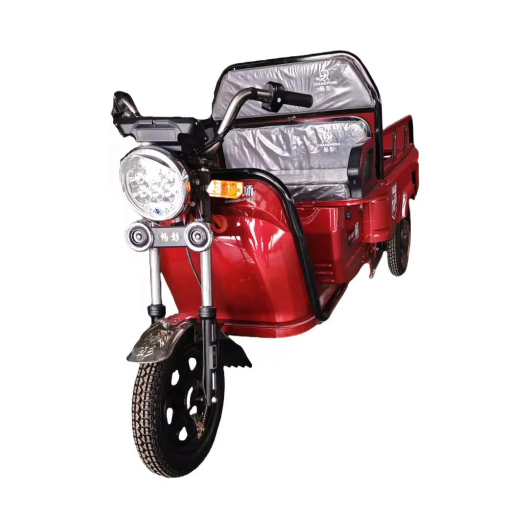 Акция Thrthree Wheeleelectric трехколесный велосипед одобренный Eec электрический 48V