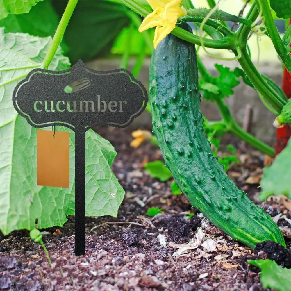 Маркер для растений вставляемые этикетки высокой твердости ярлыки фруктов