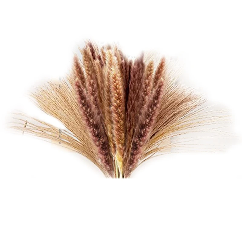 

80Pcs Natural Dried Pampas Grass - For Bohemian Decor, Fluffy Pampas Grass Bouquet/Flower Arrangement Wedding Home Decor