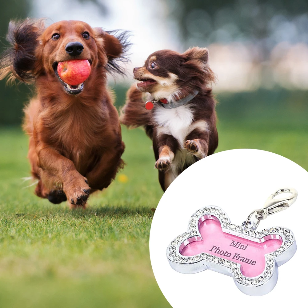 

DIY Loss-proof ID Tag Name Address Pendant Rhinestone Dog Puppy Anti-Lost Mini Cute Card Collar for Home Gog Supplies