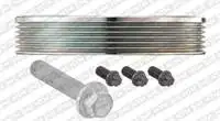 

Crankshaft pulley for DPF35933K1