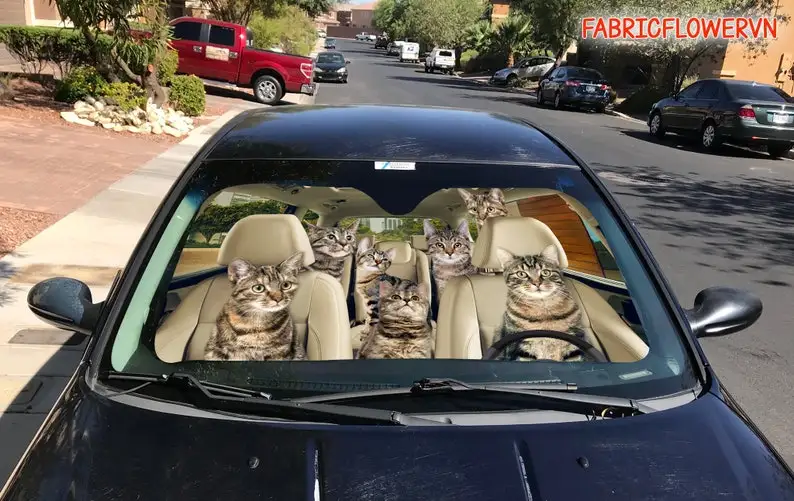 Рисунок 2 - Европейский кошачий Автомобильный