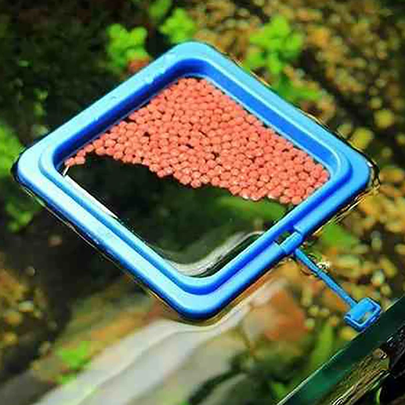 

Кольцо для кормления рыб, Квадратный Круг, аквариум, поднос для кормления рыб, плавающий фидер, аксессуар