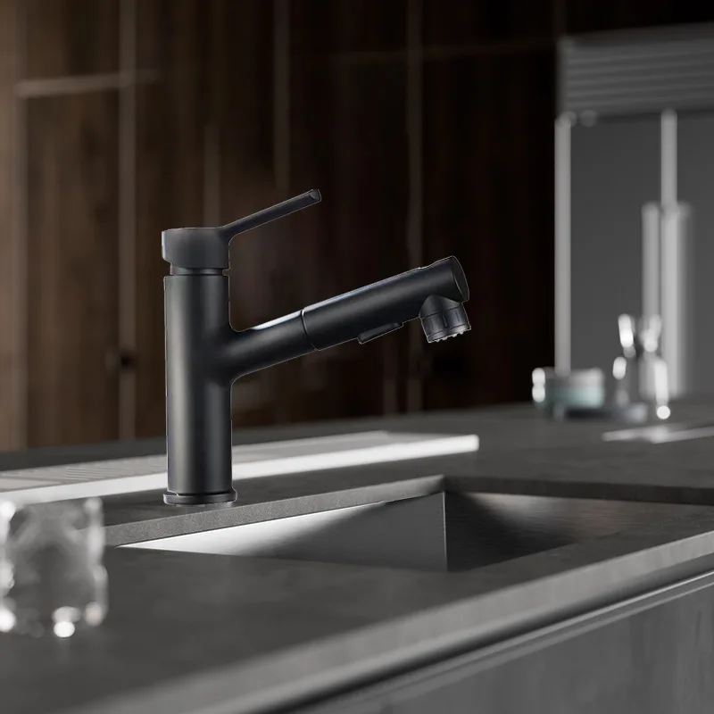 

Water Basin and Sink Cold Copper Faucet Washbasin Pull-out Faucet Hot Bathroom Basin Black Bathroom