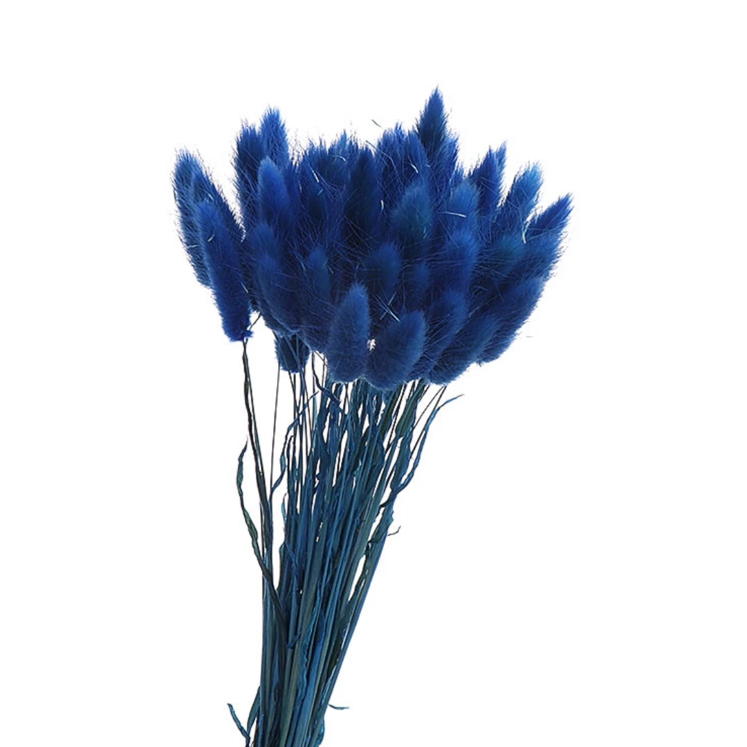 

Сушеные цветы кроличьи хвосты Lagurus Ovatus YN HI FLOWER ENJOY YOUR LIFE