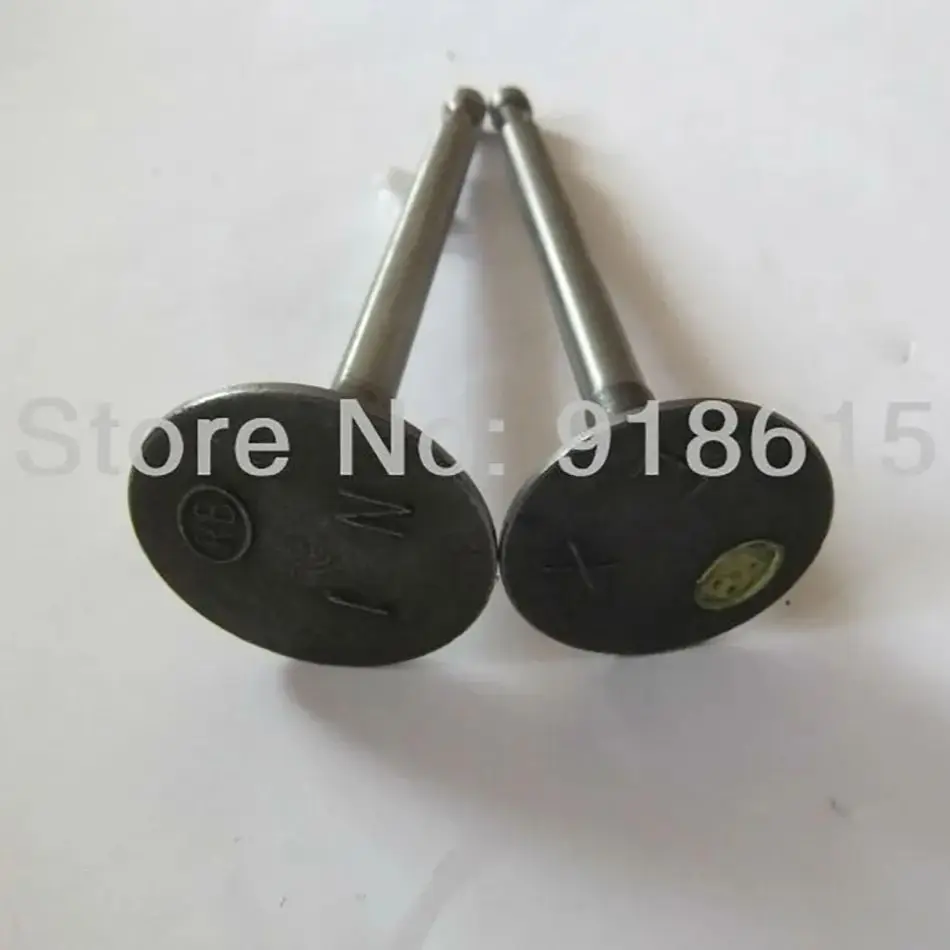 

Intake Valve and Exhaust Valve Robin EY28 EY28C EY28D EY28B RGX3500 RGX3510 7.5HP gasoline engine parts replacement