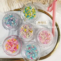 1pot fashion dried flowers for resin craft nail art mix small mini dry flowers press on nail charms summer nail accessories