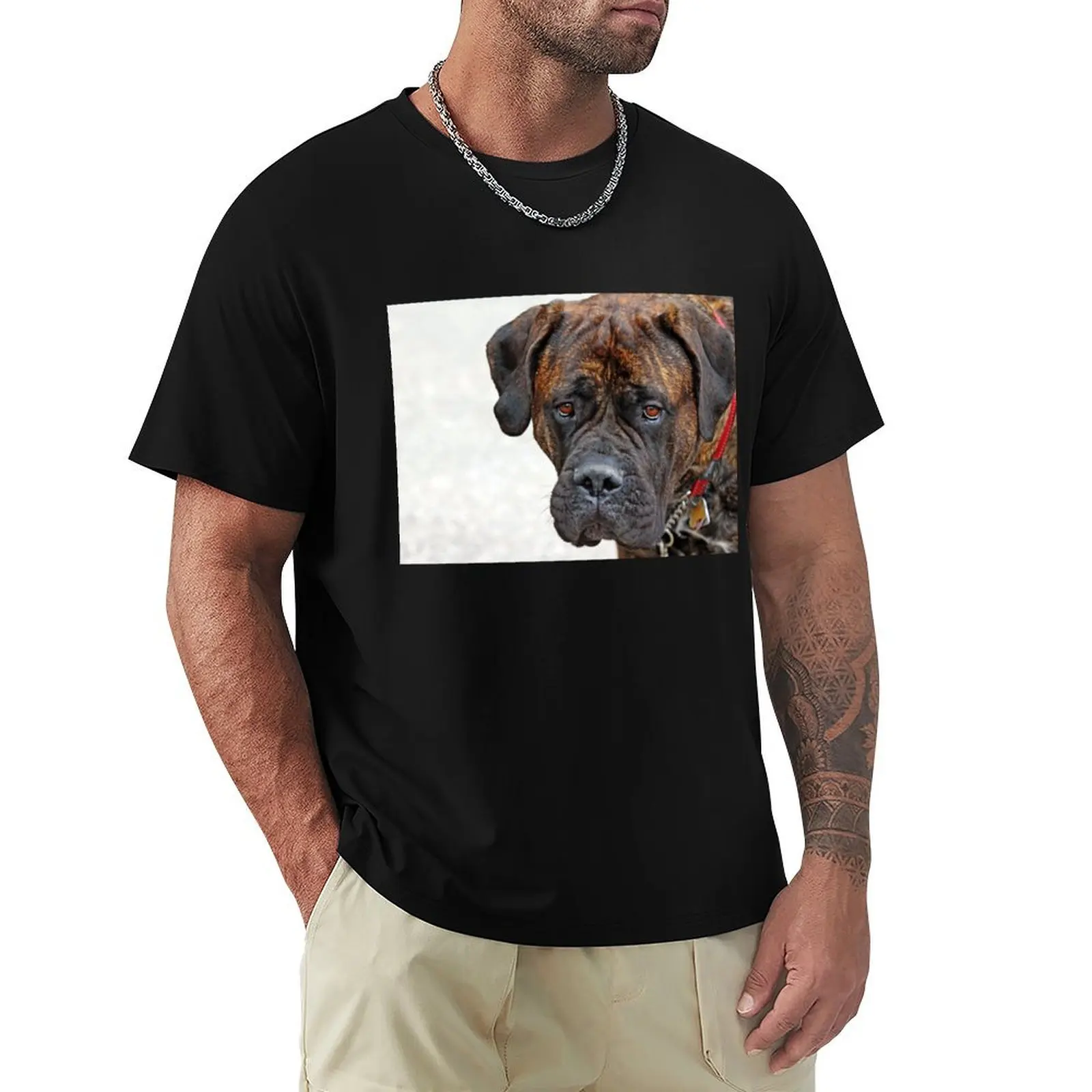 Футболка Gina с винтажным графическим принтом простые белые мужские футболки