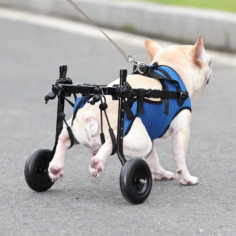 Wheelchair for disabled Dog 1