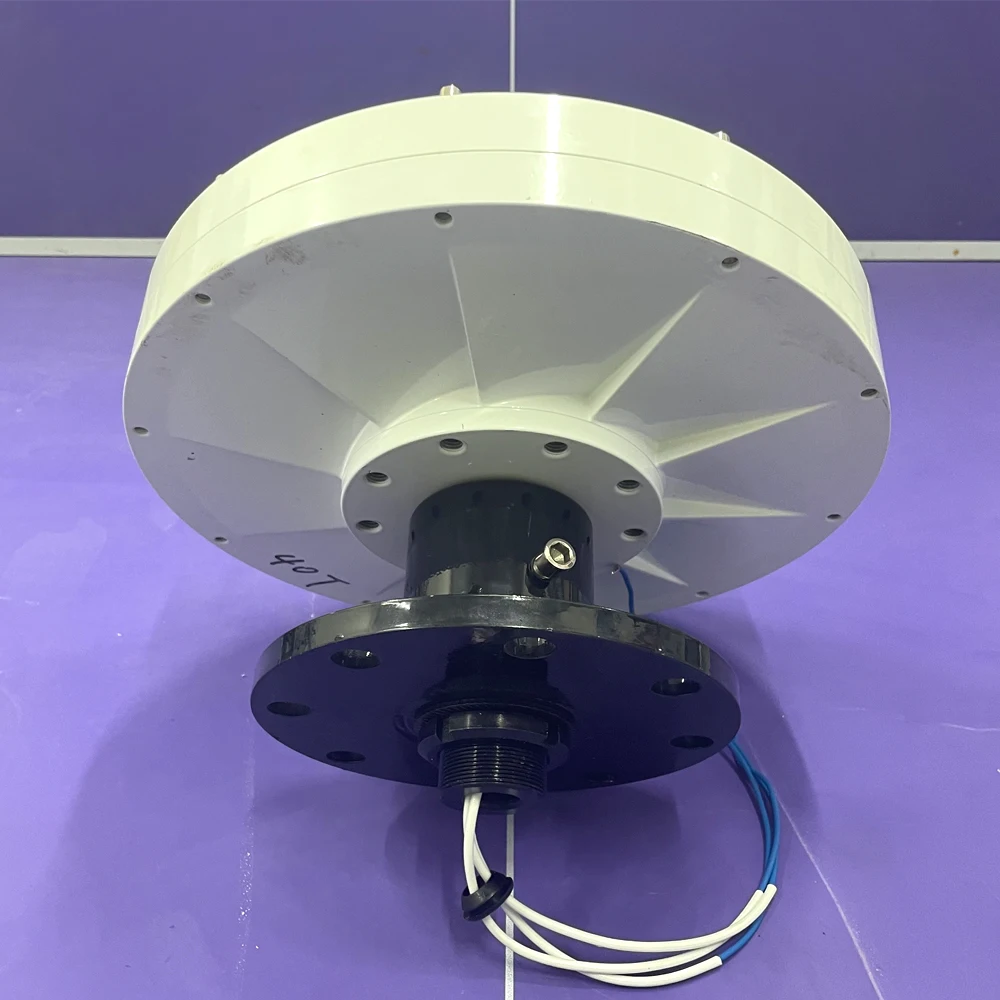 Низкоскоростной 10 кВт 20 24 В 48 96 в 220 неутопленный редкоземельный постоянный