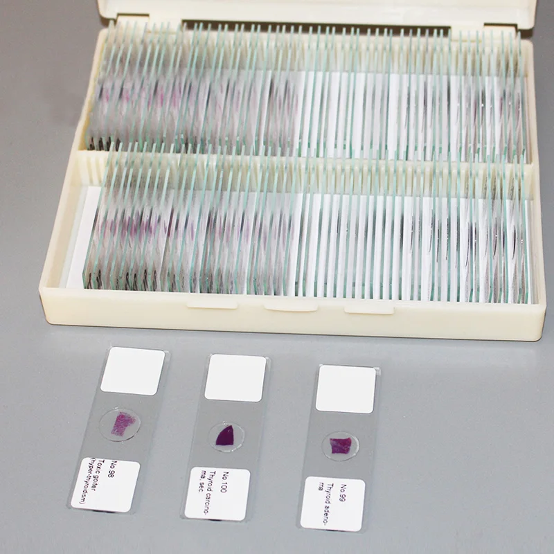 

100 PCS Professional Prepared Human Pathological Slice Microscope Slides for Medical University Science Biology Research