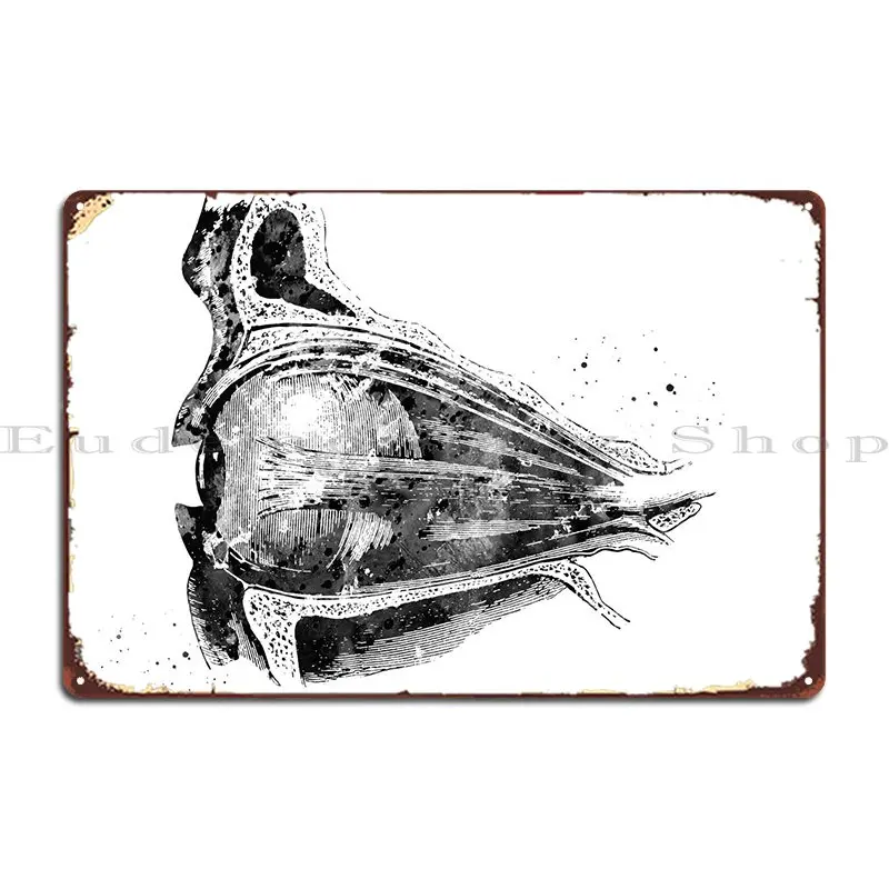 

Eye Anatomy Metal Plaque Wall Mural Plaques Pub Design Sign Tin Sign Poster