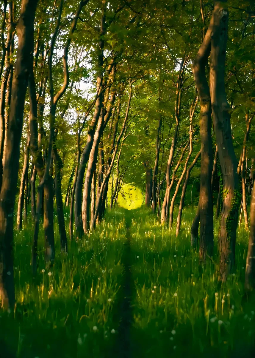 Настенный арт-принт 