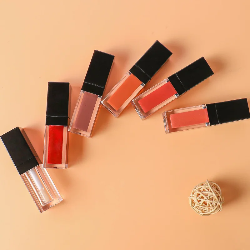 

No logo lip gloss custom logo matte light moisturizing lip glaze liquid lipstick lipstick set makeup Dmg12