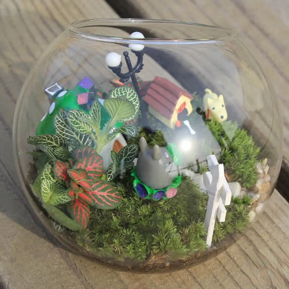 1 шт. необычная прозрачная Фотографическая ваза суккулент контейнер для