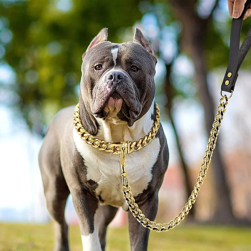 

Gold Metal Dog Leash Heavy Duty Chew Proof Pet Leash Chain with Genuine Leather Handle for Small Large Medium Size Dogs Pet Item