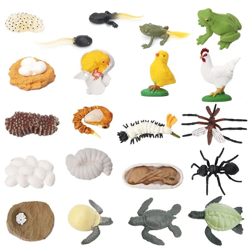 Обучающая доска Монтессори развивающие игрушки для детей с жизненным циклом