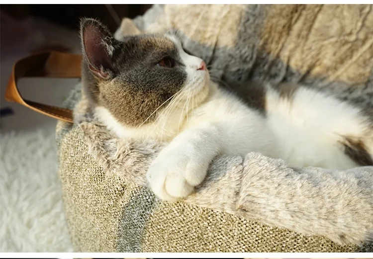 Кровать для кошки домашних животных переносная мягкая кровать кошек стирающаяся