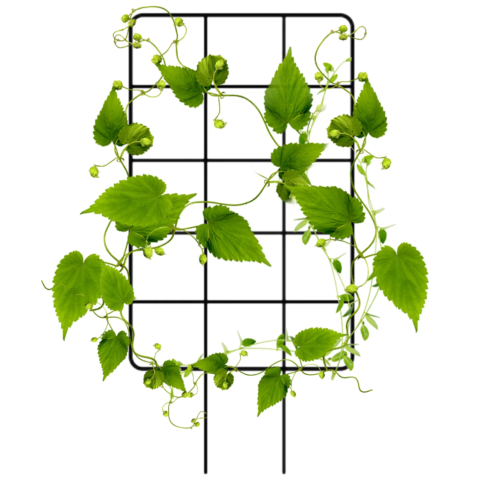 

Metal Garden Trellis Climbing Rose Trellis With Strong Structure Metal Garden Trellis Provides Durable And Stable Support For