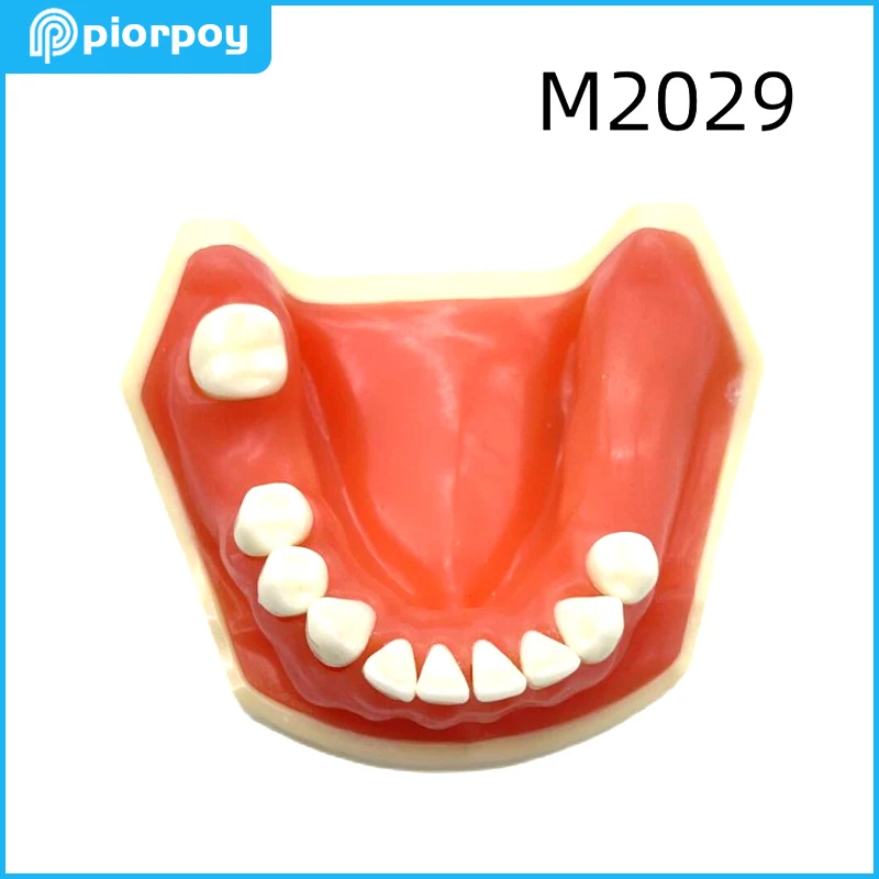 Модели для обучения стоматологии, имплантат мандибулярных зубов, тренировочная форма с мягкой жвачкой, демонстрация стоматологии, инструменты для обучения студентов M2006