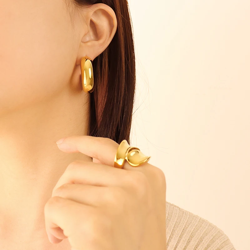 

CINSY Jewelry Stainless Steel Earrings Jewelry For Women Kolczyki Brincos Piercing Christmas Aretes Earrings For Women Pendiente