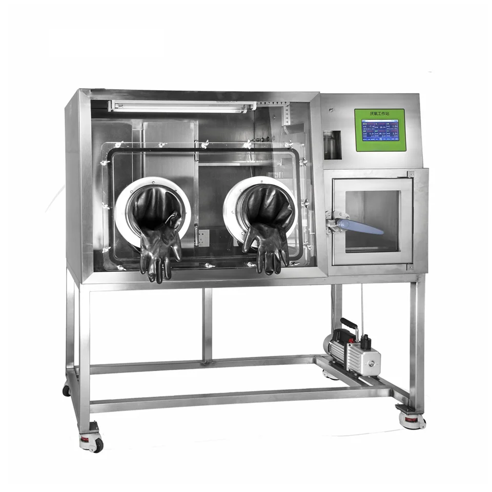 

Best Bacteria Cultivation Anaerobic Chamber