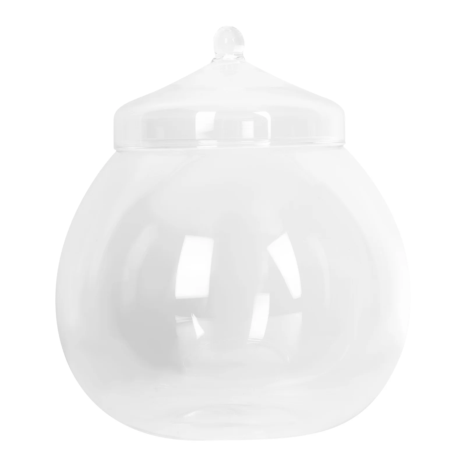 

Indoor Pots Terrarium Gardening Decor Bubble Vase Pots Tabletop Container With Air Planter Globe