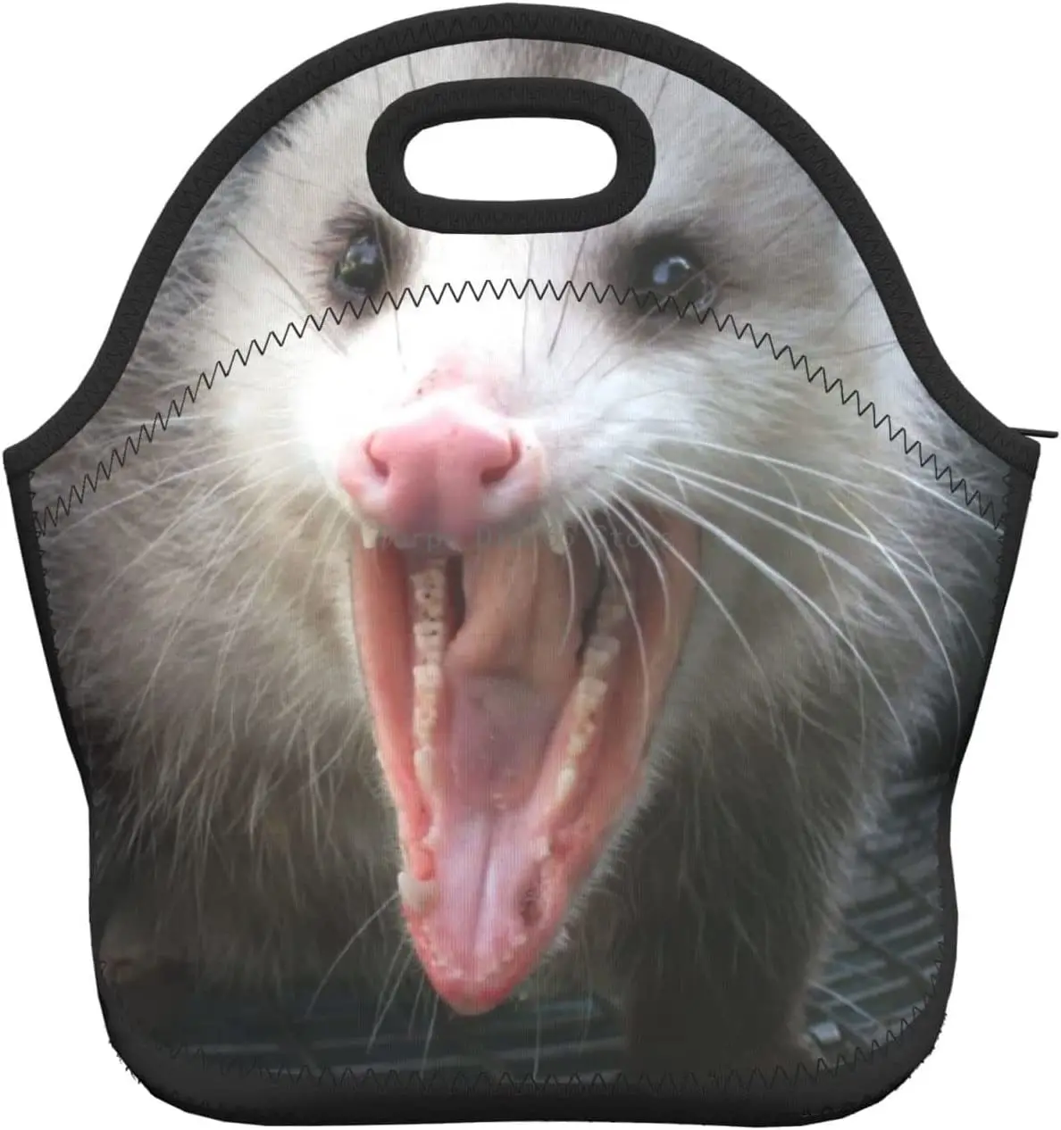 

Opossum Possum Lunch Box Reusable Lunch Bag Tote Bag Insulated Lunch Bag for Women Men Lunch Box for Camping Gifts School