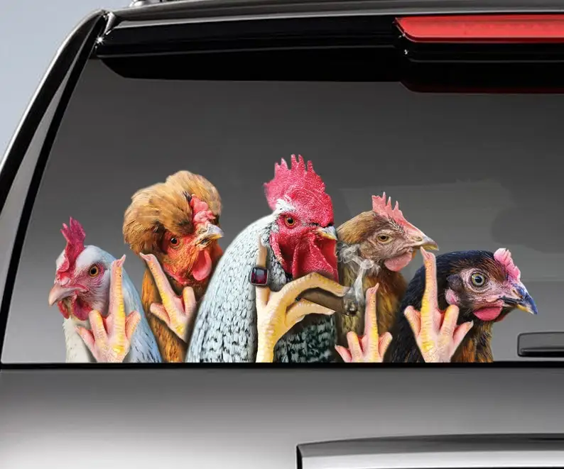 

Funny chickens window decal , chicken car sticker, funny rooster sticker