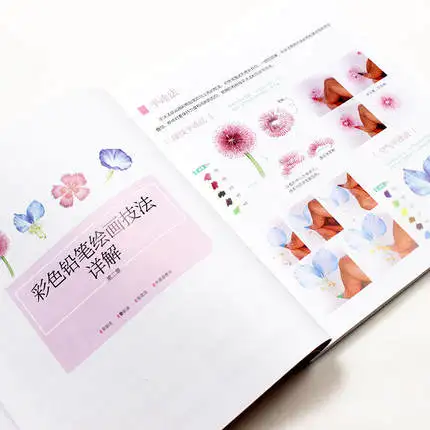 Рисунок 3 - Книга с цветочным рисунком цветной