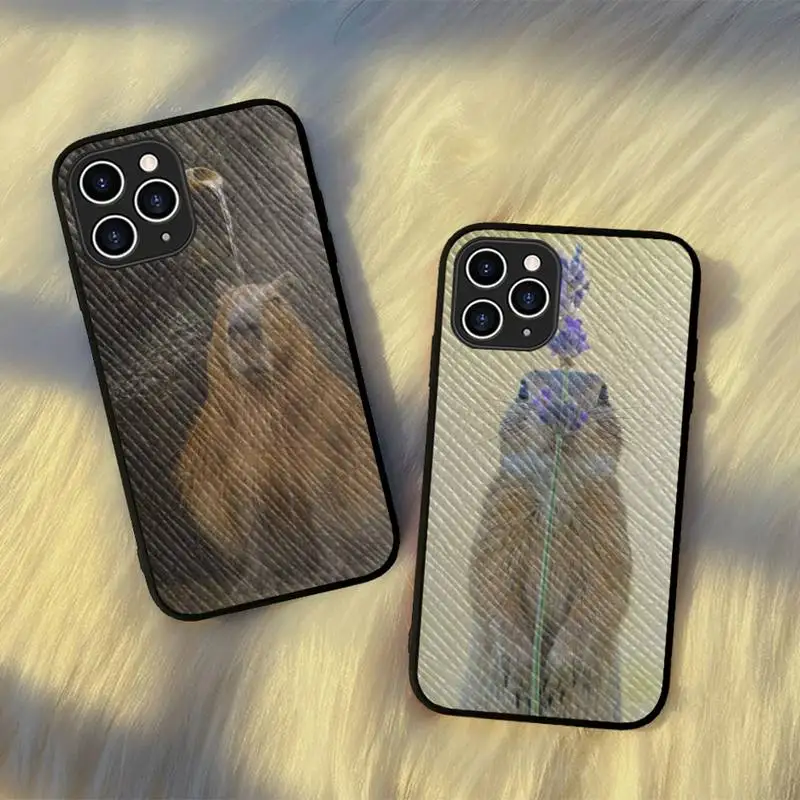 

Animal Funny Capybara Bling Phone Case Hard Leather Case for iPhone 11 12 13 Mini Pro Max 8 7 Plus SE 2020 X XR XS Coque