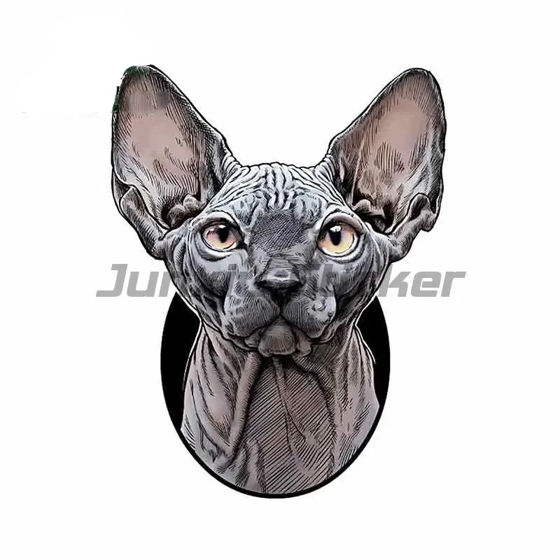 

Сфинкс Кот Забавные автомобильные наклейки Аниме Наклейки 3D водонепроницаемые наклейки