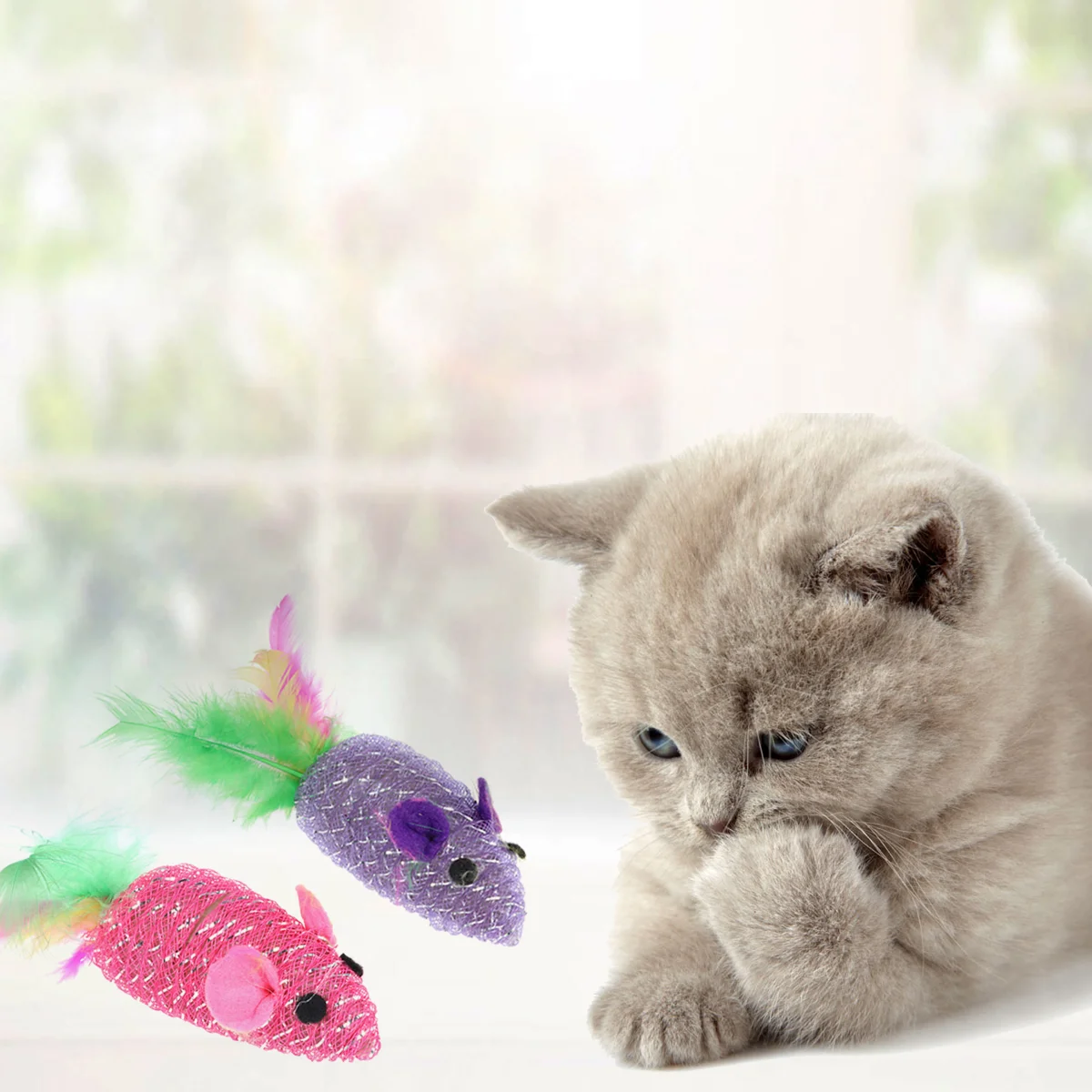 

10pcs/pack Cat Tails Cat Catcher Cat With Mice Cat Kitten for Indoor Cats Cat With