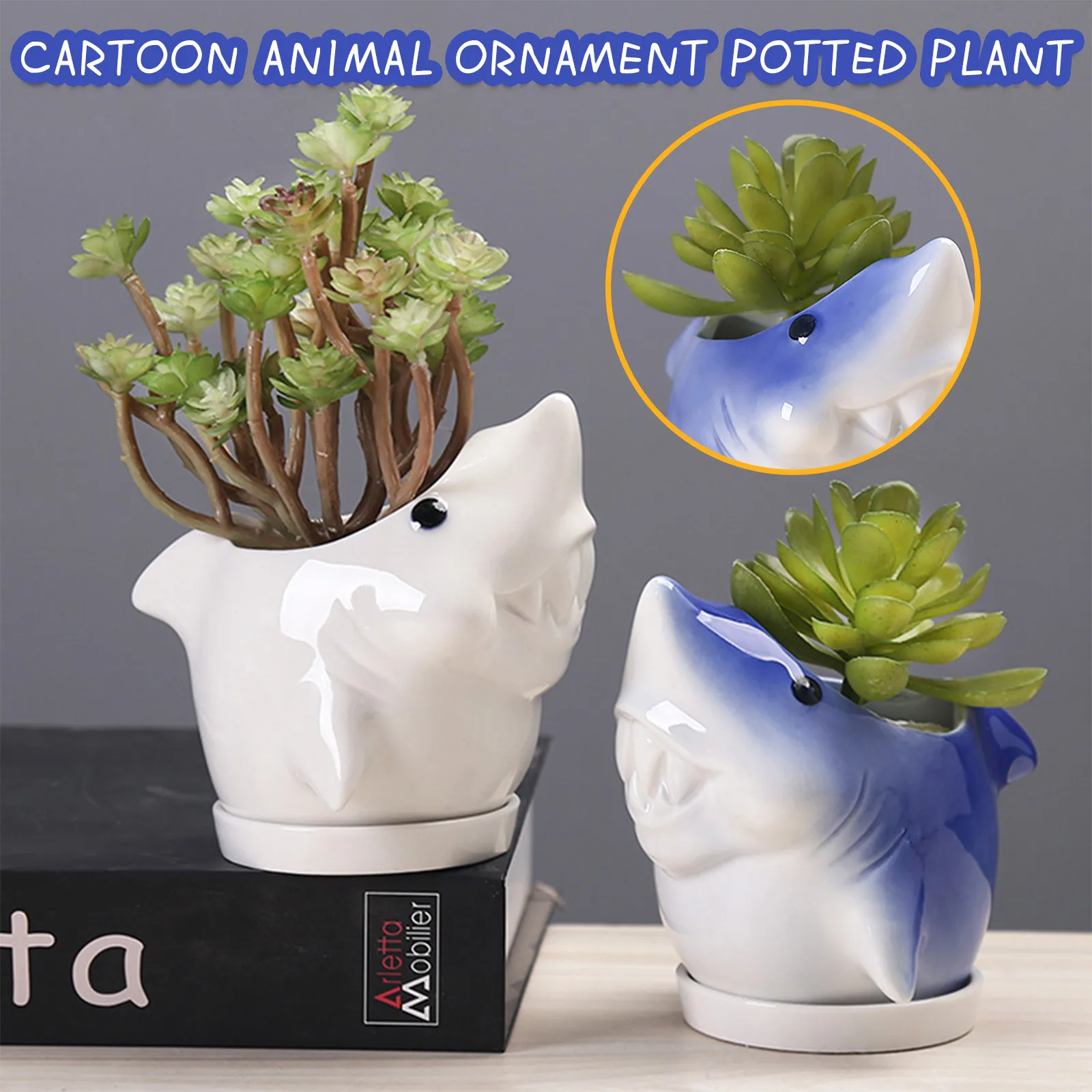 

Dolphin Animal Cactus Cartoon Personality Ornament Ceramic Flowerpot