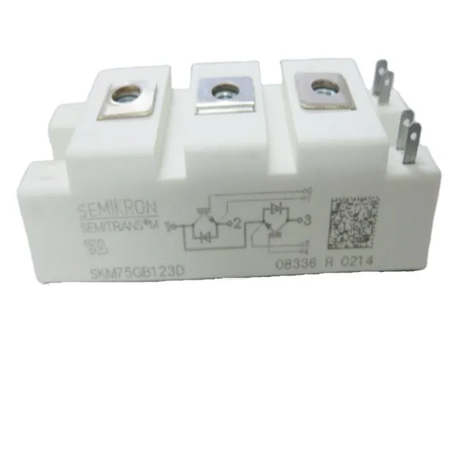 

Hot Selling High Quality Power Supply Module SKM75GB123D