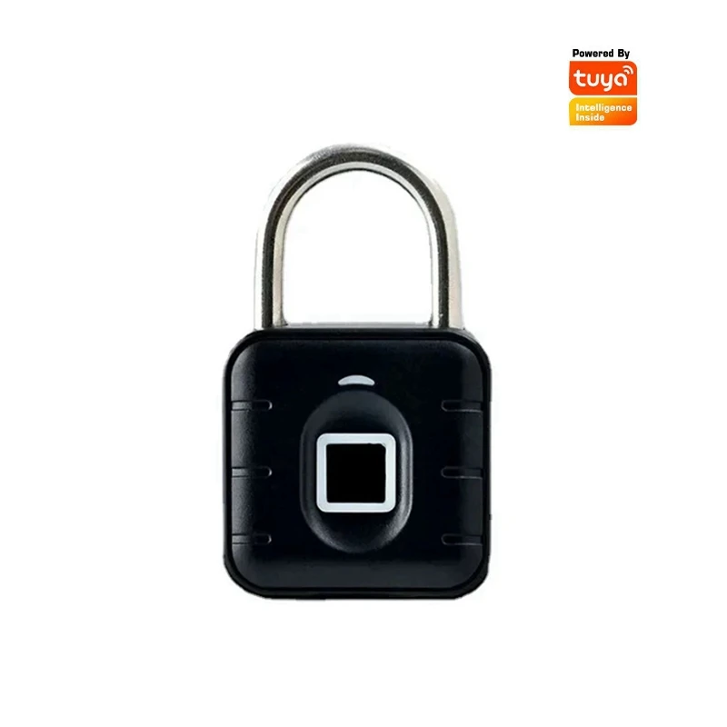 EGFirtor Tuya биометрический дверной замок  IP67
