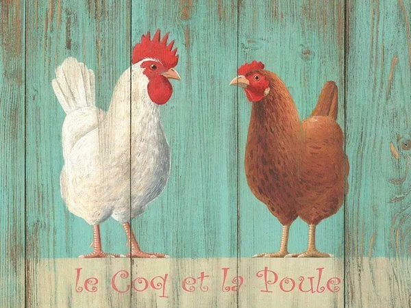 

Vintage Metal Sign Plaque Le Coq Et La Poule Rooster and Hen Home Kitchen Decor Metal Painting 20x30cm Poster Metal Plaque 2021