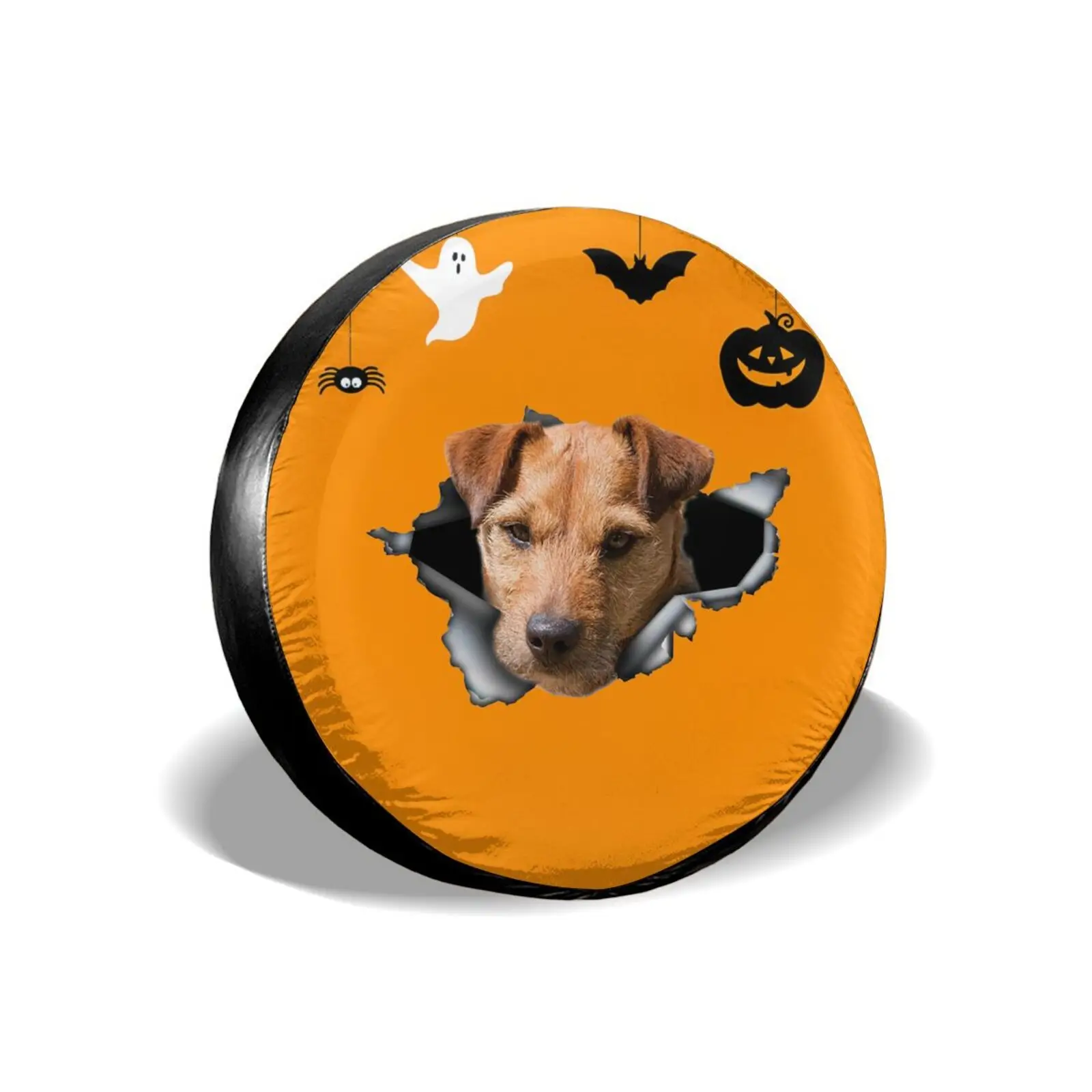 

Compass Tire COVER CAR Universal Spare Wheel Tire COVER CAR Wheel COVER CARs for Trailer RV SUV Truck Camper Travel Trailer