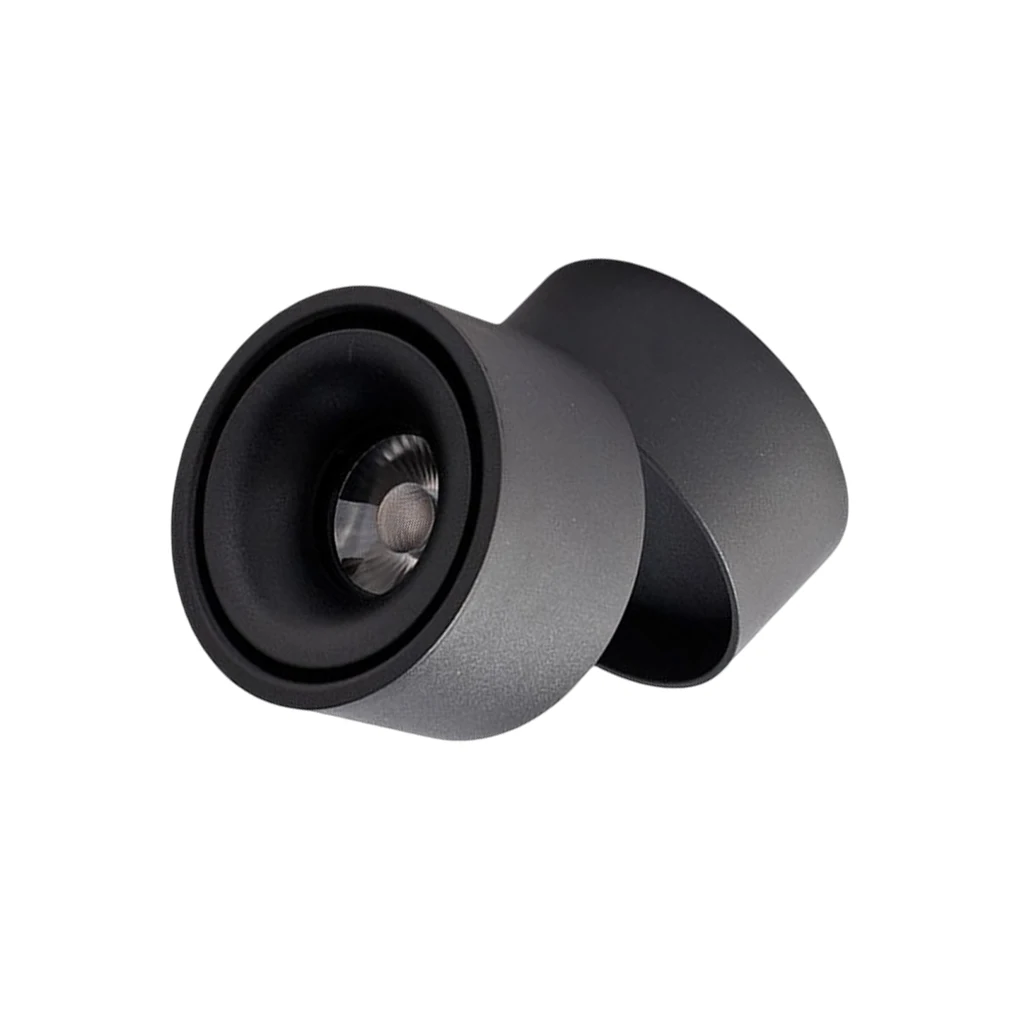 

Регулируемый потолочный светильник для помещений и улицы