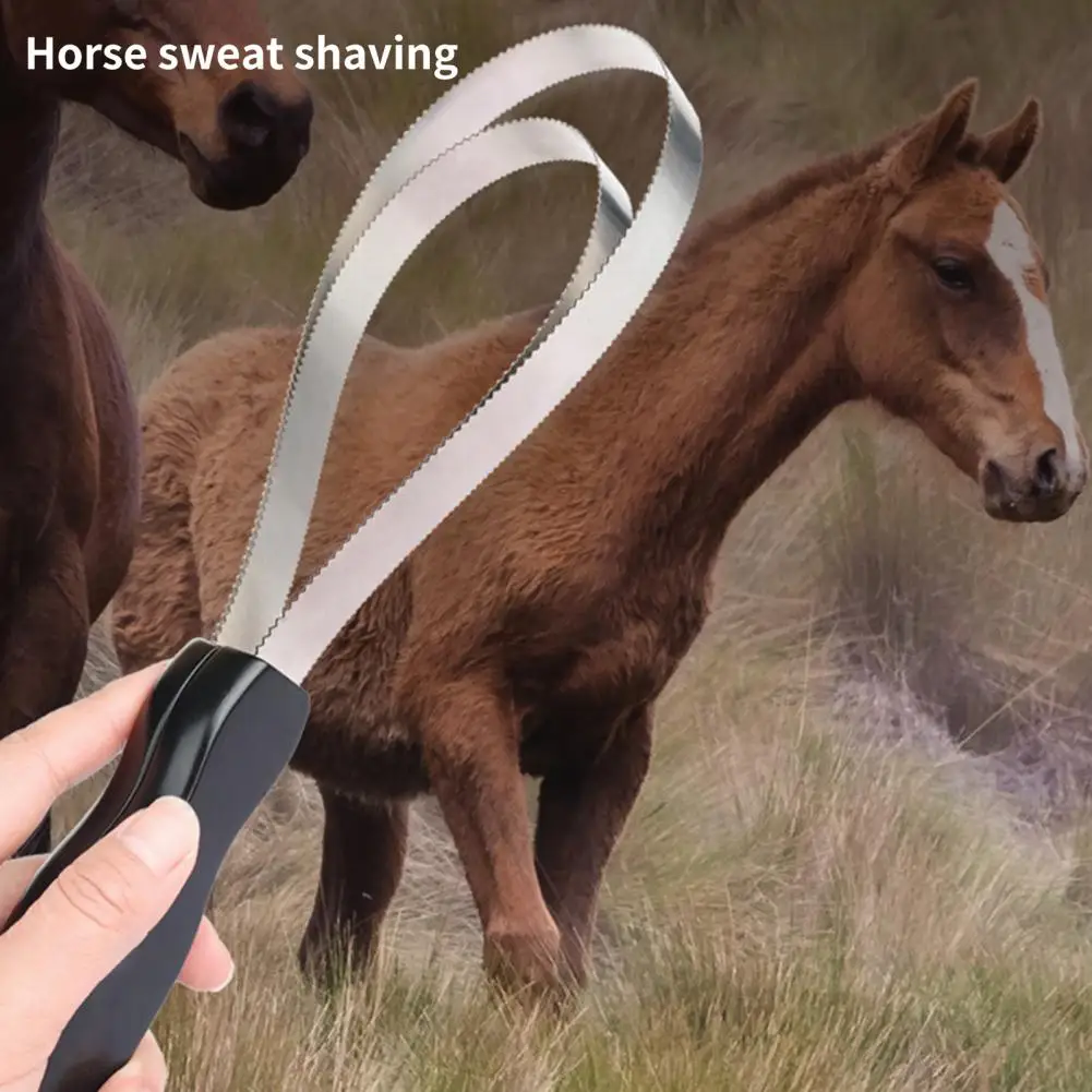 

with Tiny-Teeth Sturdy Horse Brush-Scraper Metal Shed Blade Convenient Horse Shedder-Scraper Non-slip Handle for Farm